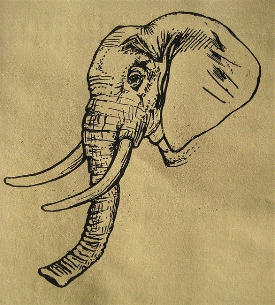 Эскизы слонов карандашом