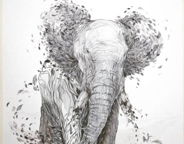 Рисунок слона гелевой ручкой