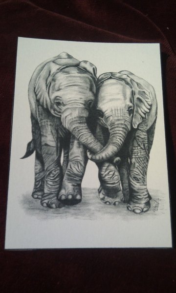 Слон углем
