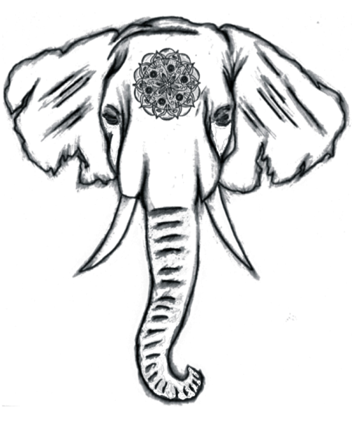 Голова слона рисунок