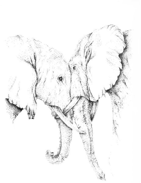 Слоненок эскиз