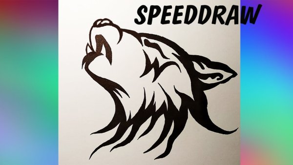 Татуировки ручкой волк