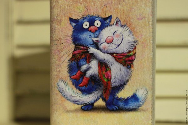 Котик на ручках