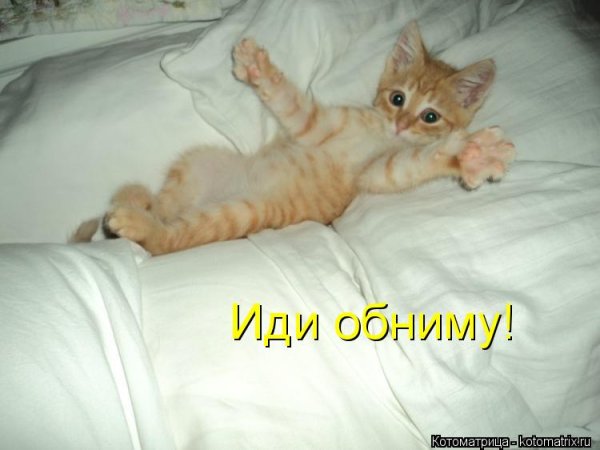 Иди обниму картинки