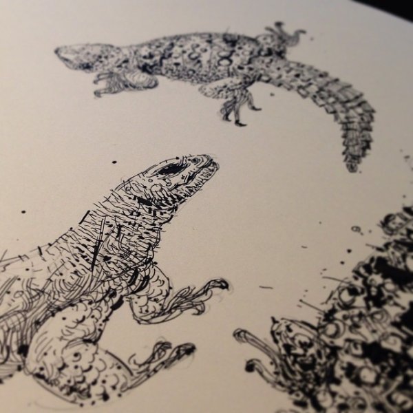 Ящерицы линером