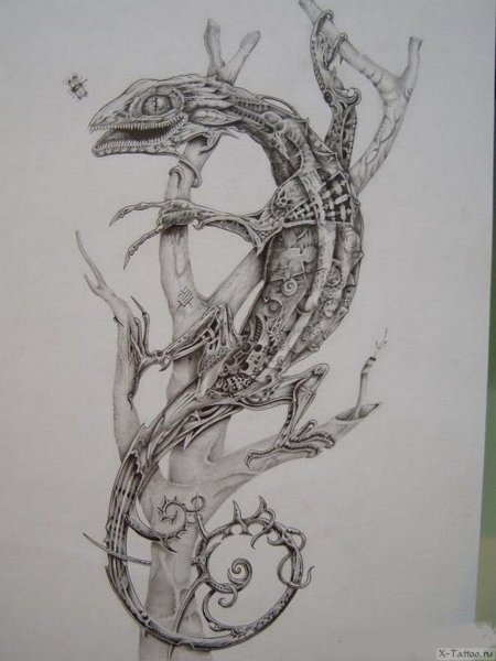 Ящерица Графика