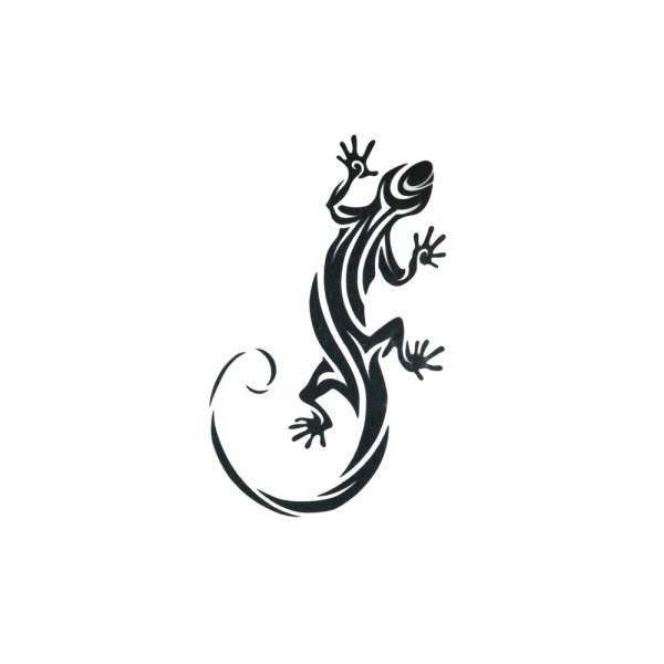 Саламандра трайбл