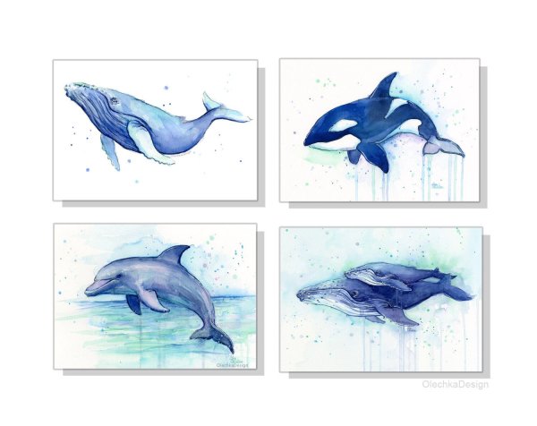 Дельфин гравировка