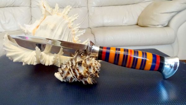 Ножи с цветными ручками