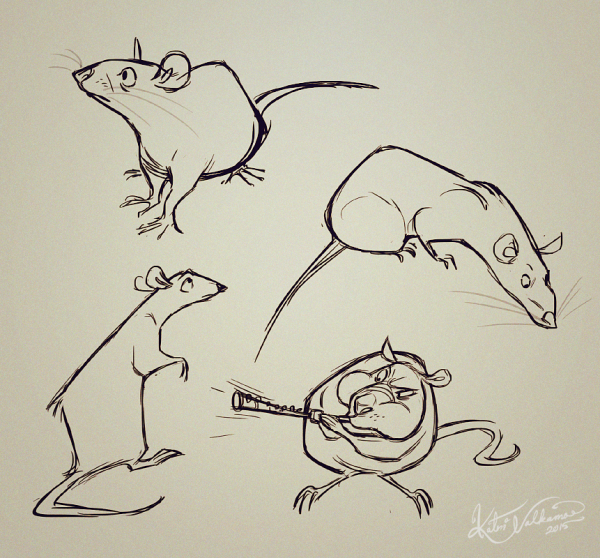 Крыса референс