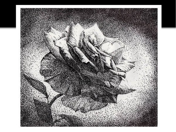 Пуантель Графика архитектура