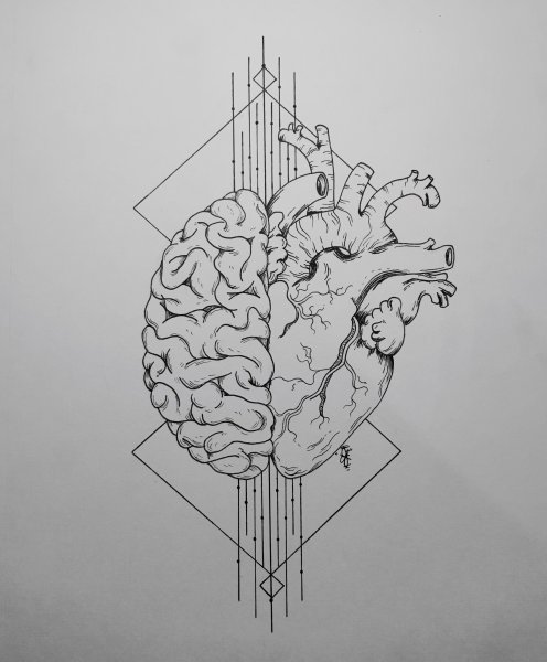 Мозг тату эскиз
