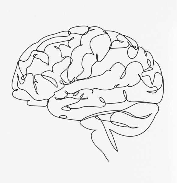 Мозг одной линией