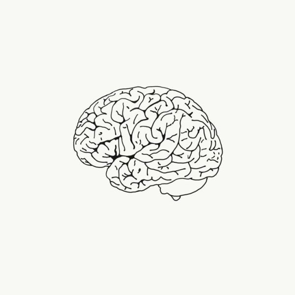 Мозг Минимализм