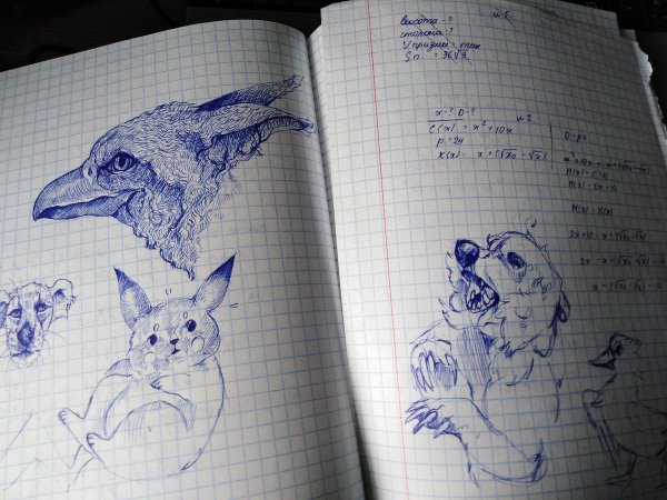 Милые рисунки ручкой легкие в тетради