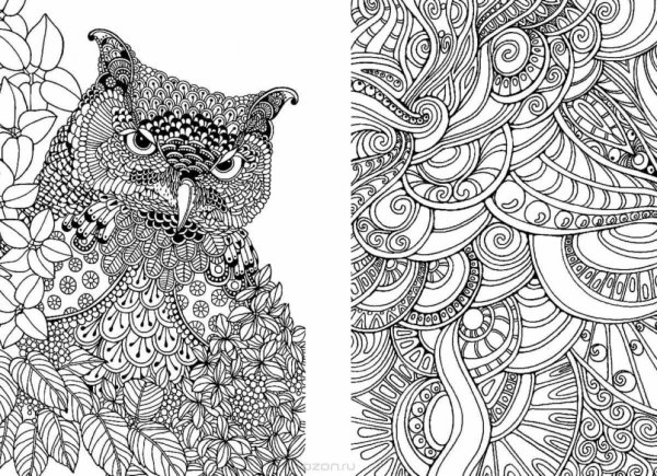 Раскраска антистресс