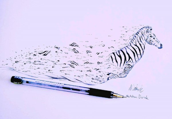 Zebra drawing Pen ручка