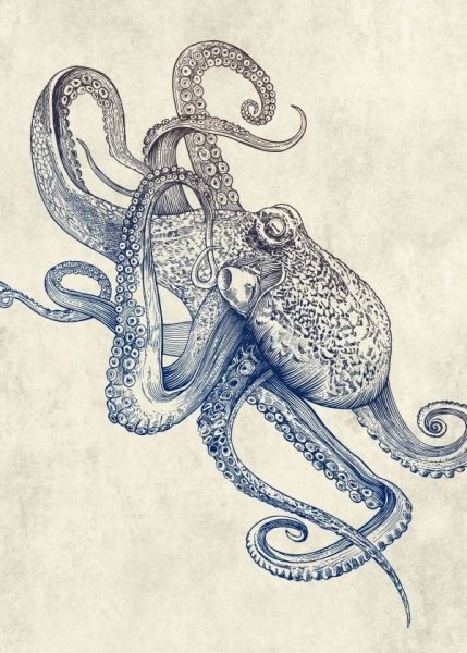 Кельтский Кракен