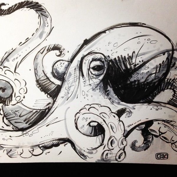 Осьминог линерами