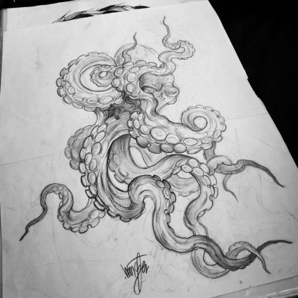 Кракен тату эскиз