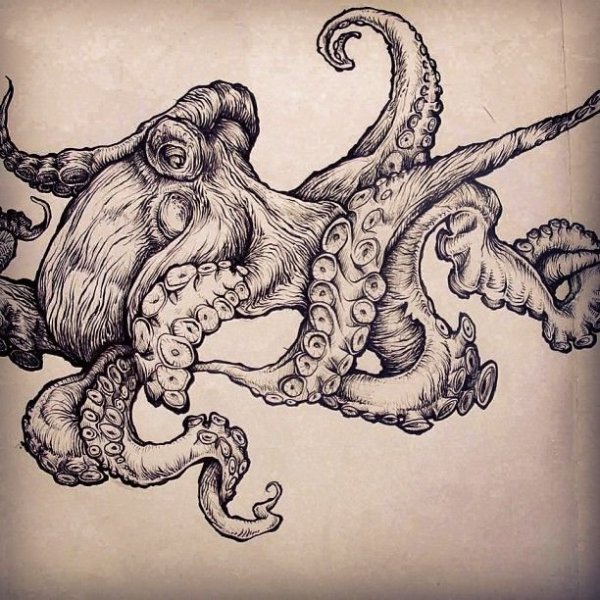 Осьминог эскиз реализм