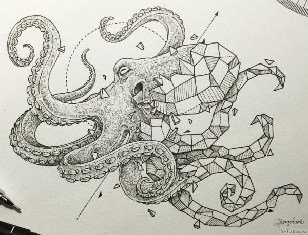 Осьминог тату эскиз