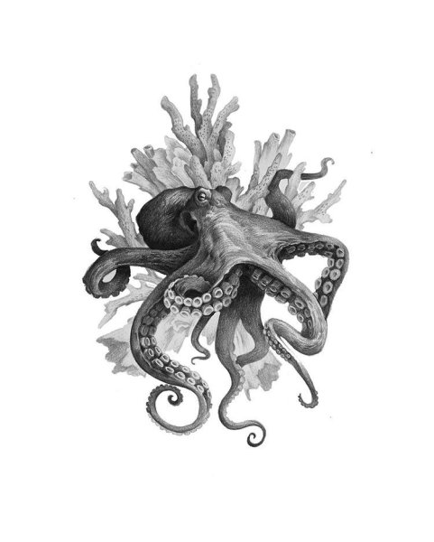 Тату морские обитатели