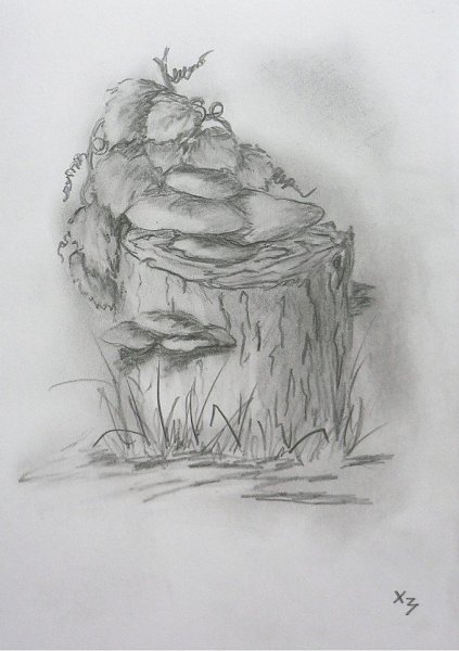 Зарисовка пенька