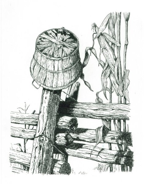 Пень Графика карандаш