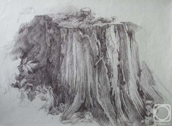 Пень Графика