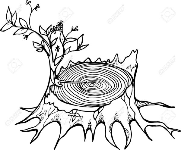 Раскраска дерево с пнями