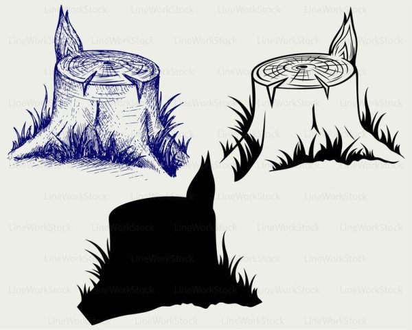 Пень раскраска для детей