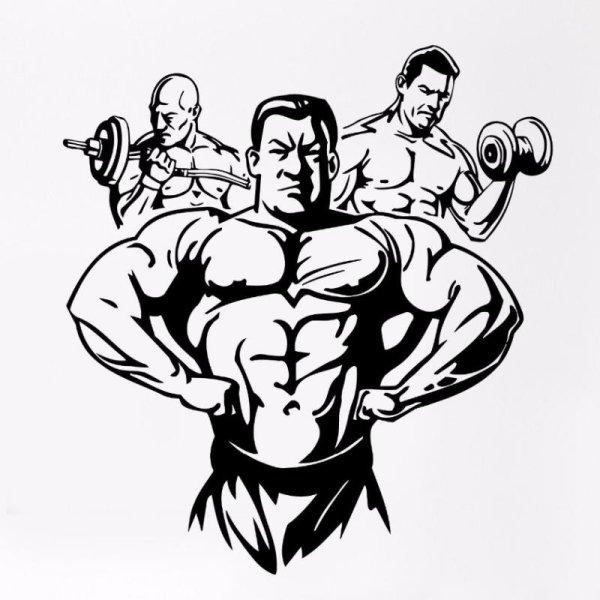 Бодибилдинг вектор