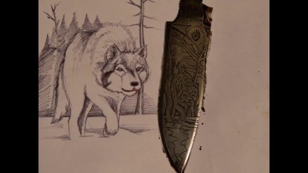 Рисунок волка на ноже
