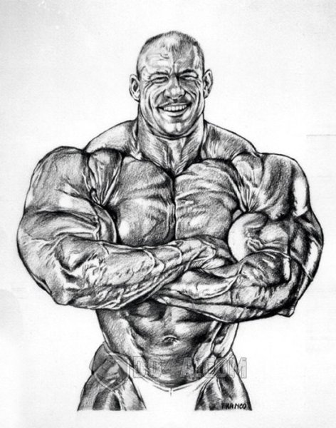 Рисунок качка