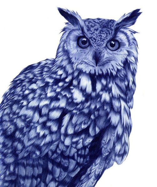 С ручкой Сова