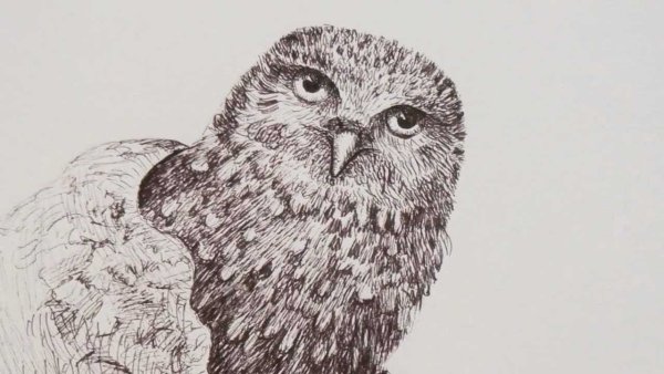 Совушка гелевой ручкой