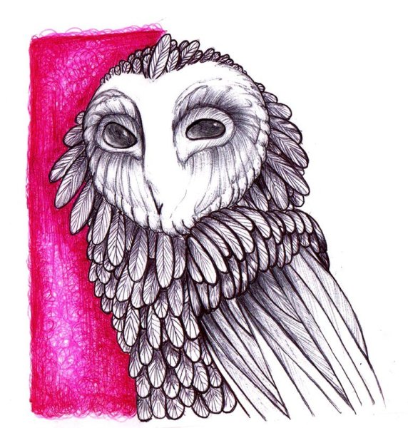 Сова гелиевой ручкой