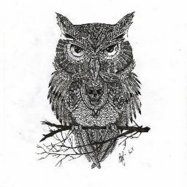Филин на ветке эскиз