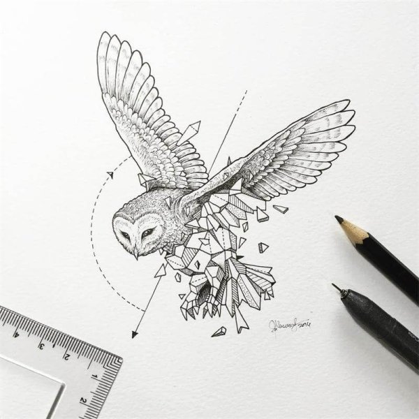 Kerby Rosanes геометрические животные