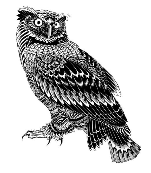 Графика животные