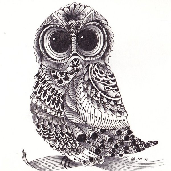 Зенарт Сова