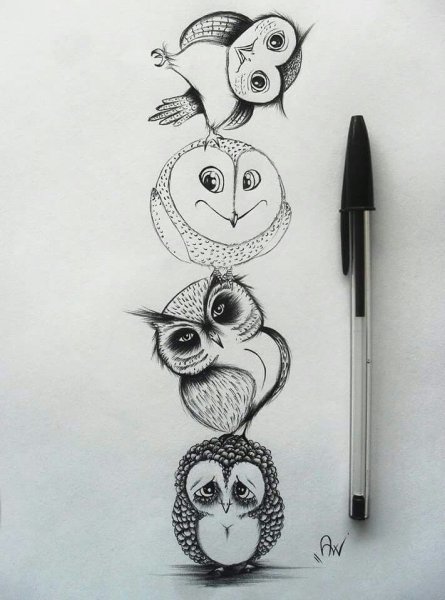 Сова маркерами