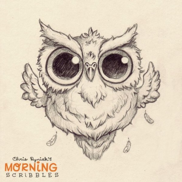 Милые скетчи Сова