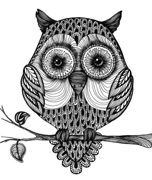 Зентангл Сова