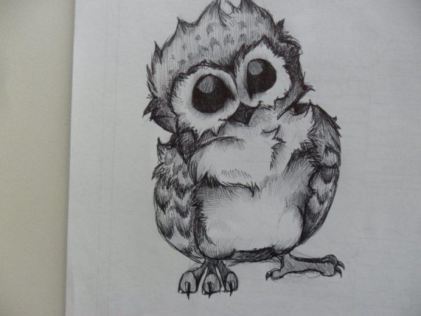 Сова черной ручкой