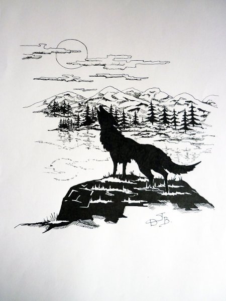 Волк черной ручкой