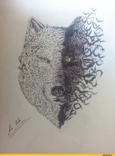 Волк черным маркером