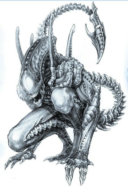 Рисунок чужого ручкой