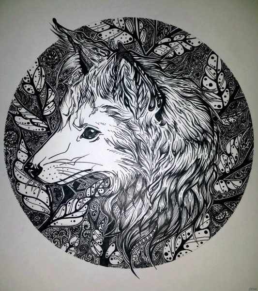 Граффити волк карандашом
